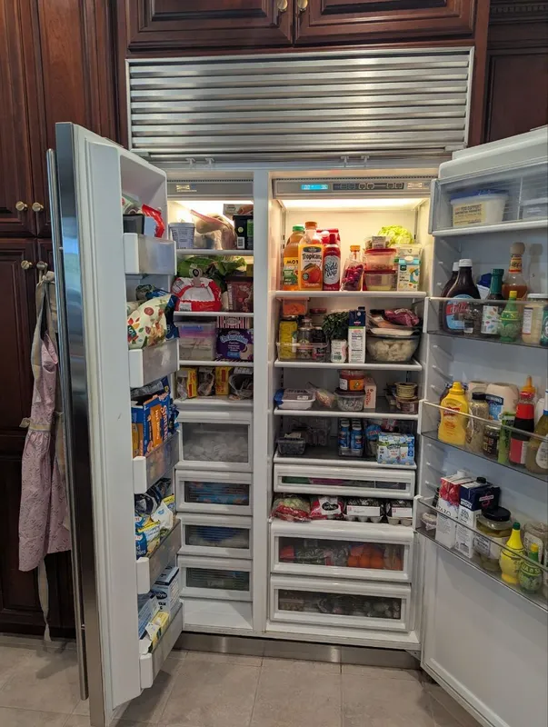 Sub-Zero Built-In Refrigerator Service — completed appliance repair project
